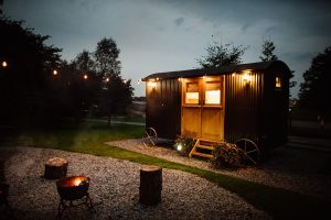 festton lighting with garden decorations